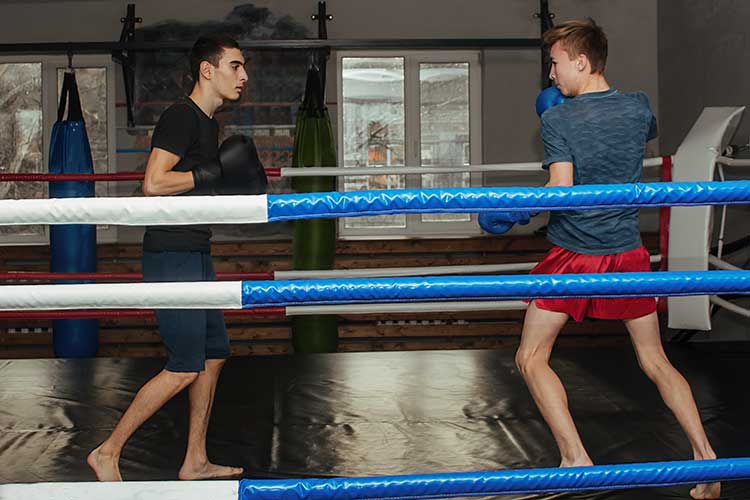 dagbesteding-boksen-rotterdam